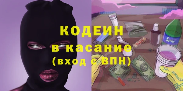 индика Новый Уренгой
