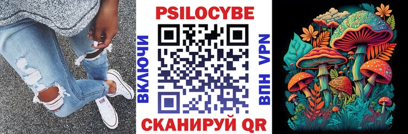 Галлюциногенные грибы Cubensis  кракен рабочий сайт  Шуя 