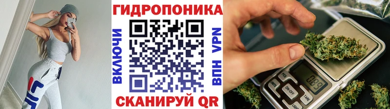 Бошки марихуана MAZAR  цены   Шуя 